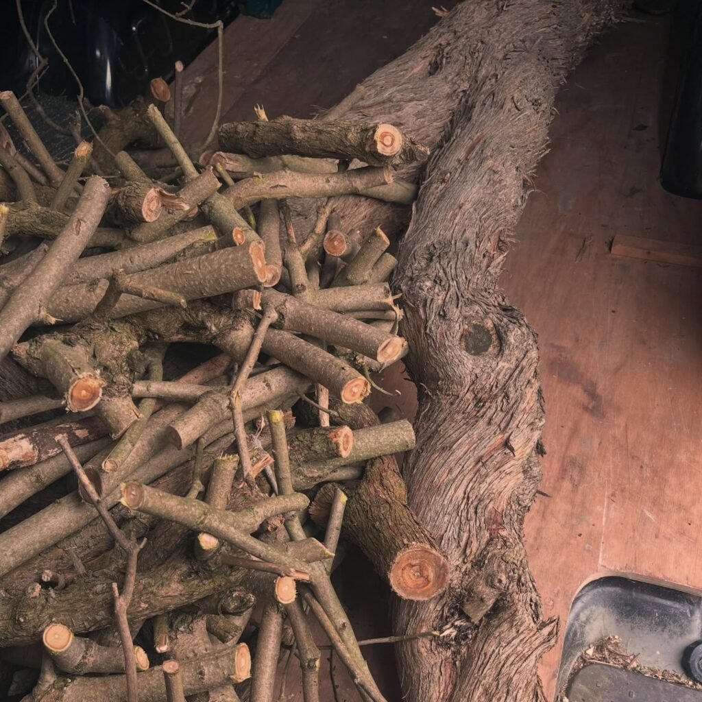 Natural branches and reclaimed wood ready for reuse at The Elderwood Project